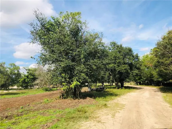 Fort Myers, FL 33913,17341 Balfour TER