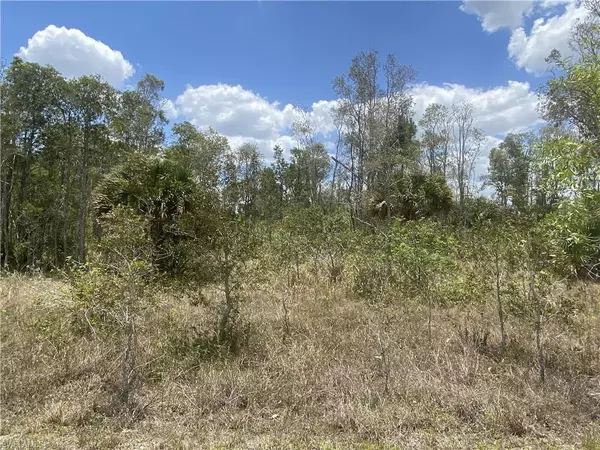 Lehigh Acres, FL 33974,312 Kerrsdale CIR