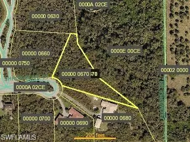 Alva, FL 33920,2100 Scrub Olive CT