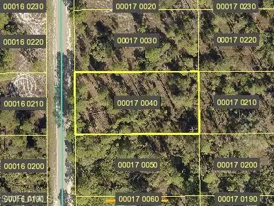 Lehigh Acres, FL 33972,1316 Scott AVE