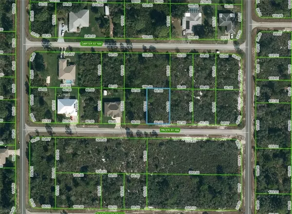 Lake Placid, FL 33852,217 Pacer ST NW