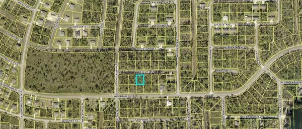 Lehigh Acres, FL 33972,349/351 Reeves ST