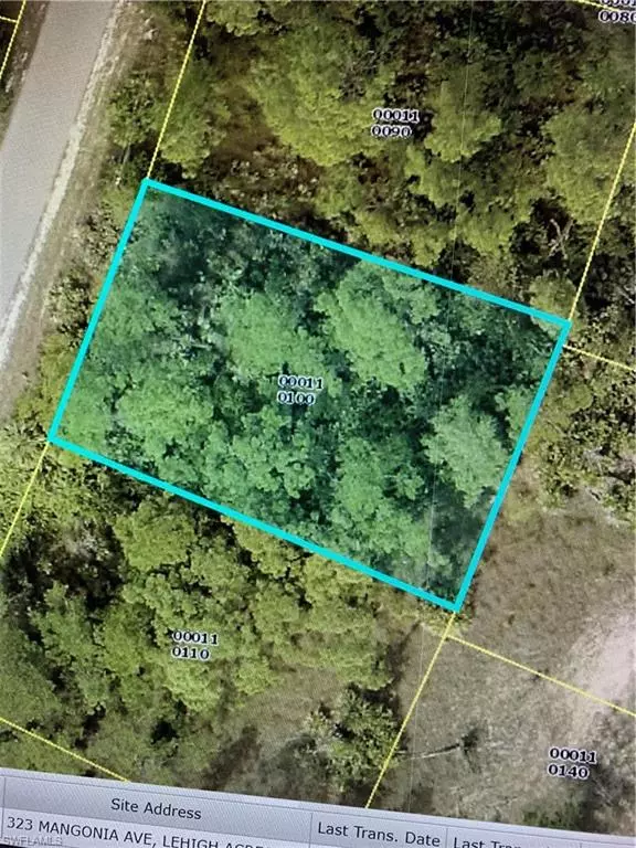 Lehigh Acres, FL 33974,323 Mangonia AVE