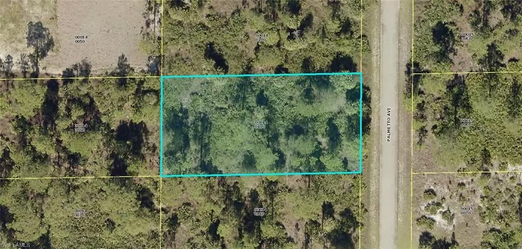1313 Palmetto AVE, Lehigh Acres, FL 33972