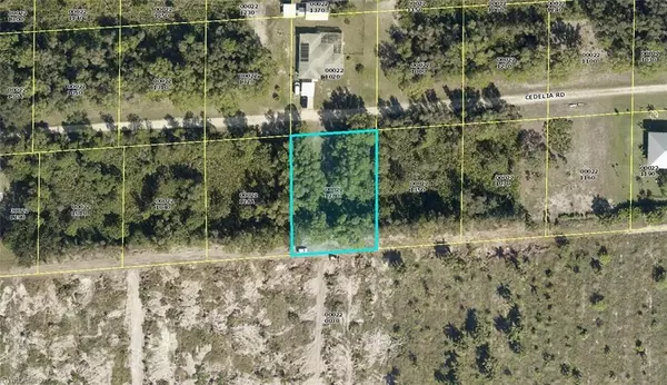 Bokeelia, FL 33922,6335 Cedelia RD