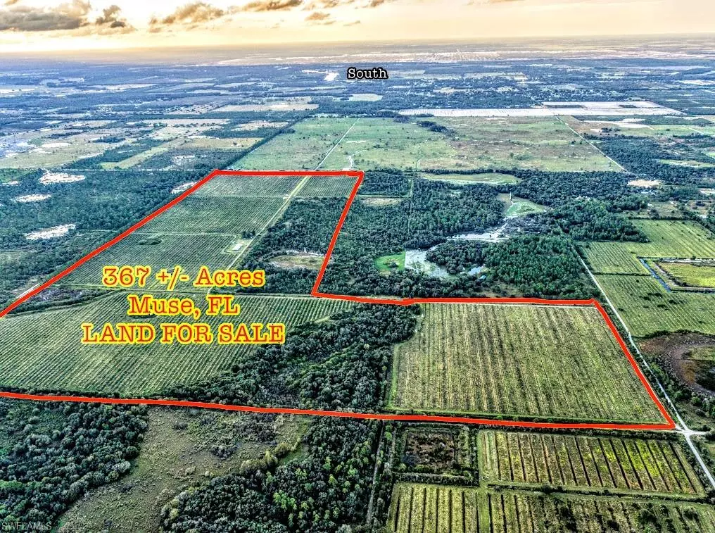 Labelle, FL 33935,3420 Scuppernong RD