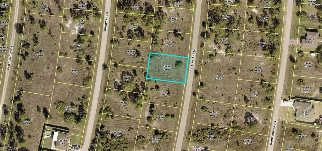 Lehigh Acres, FL 33974,1054 Halby AVE S