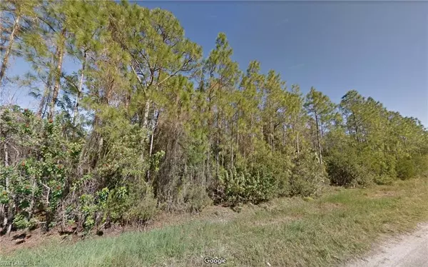 Lehigh Acres, FL 33972,228 Ocean Park DR