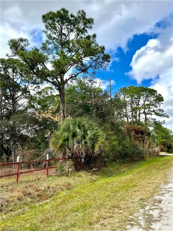 Clewiston, FL 33440,342 Hunting Club AVE