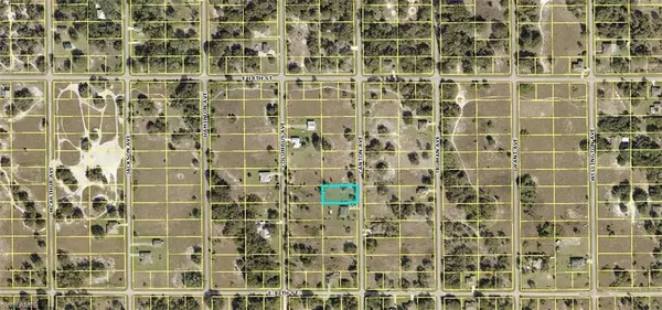 Lehigh Acres, FL 33972,1711 Canton AVE