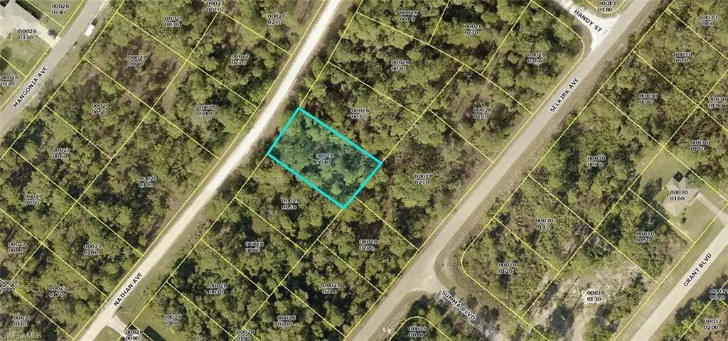 Lehigh Acres, FL 33974,339 Nathan AVE S