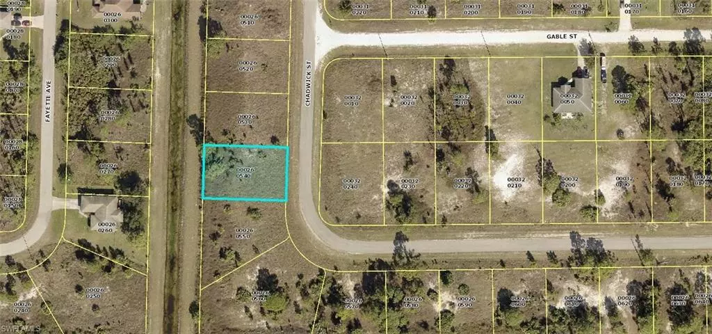 Lehigh Acres, FL 33974,1026 Chadwick AVE