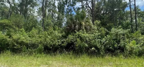 Lehigh Acres, FL 33972,191 Ocean Park DR