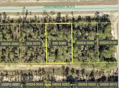 Lehigh Acres, FL 33972,209/211 Greenbriar BLVD