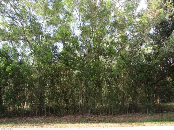 Bokeelia, FL 33922,5500 Birdsong LN NW