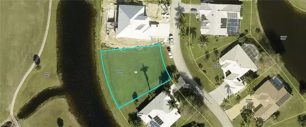 11883 Princess Grace CT, Cape Coral, FL 33991