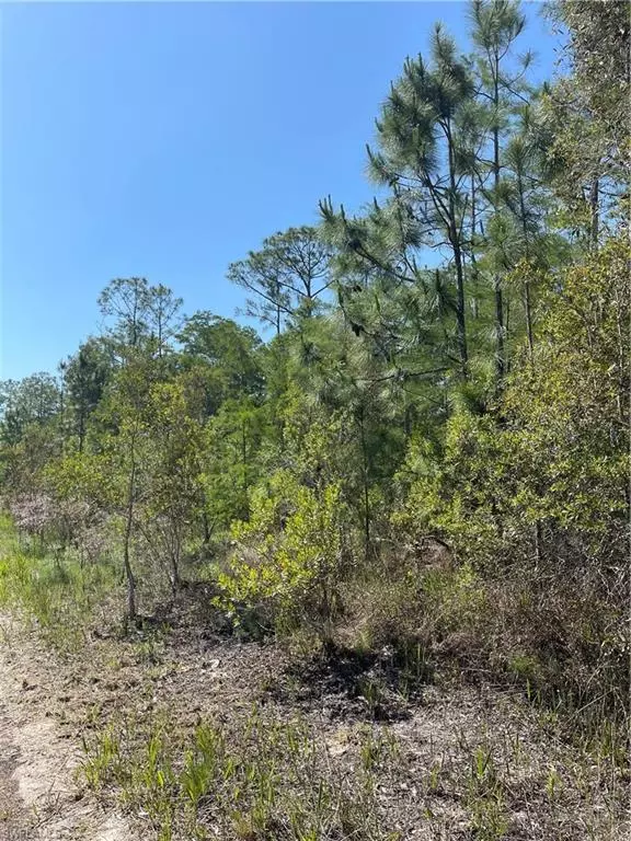 Naples, FL 34114,TBD BEHIND HACIENDA LAKES