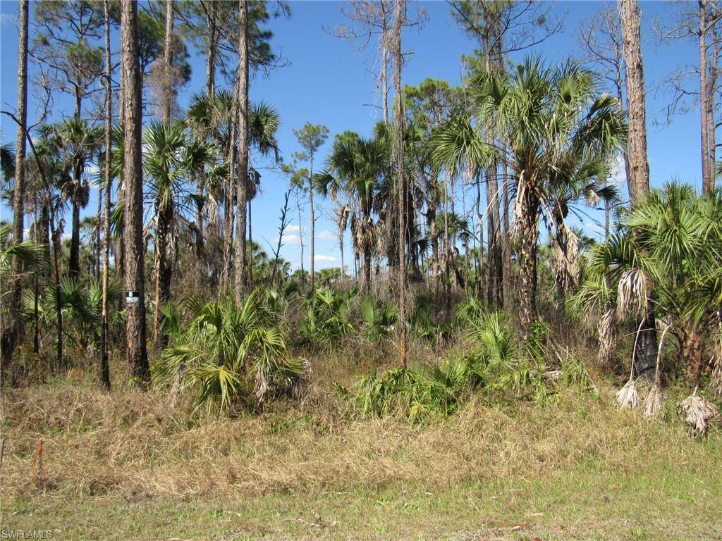 XXXX 14th AVE SE, Naples, FL 34117