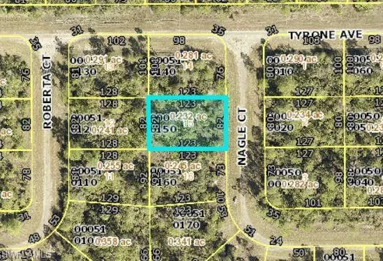 Lehigh Acres, FL 33972,313 Nagle CT