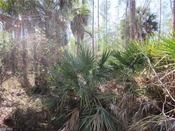 8 AVE NE, Naples, FL 34120