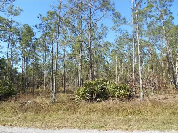 Lehigh Acres, FL 33972,1319 Jackson AVE