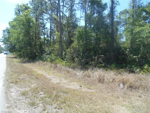 Lehigh Acres, FL 33974,510 Walter Gifford AVE S