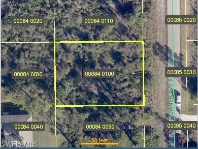 Lehigh Acres, FL 33974,846 Downer AVE S