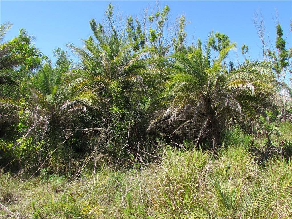 Bokeelia, FL 33922,Samadani LN
