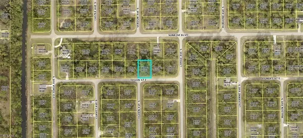 Lehigh Acres, FL 33974,717 Devon ST