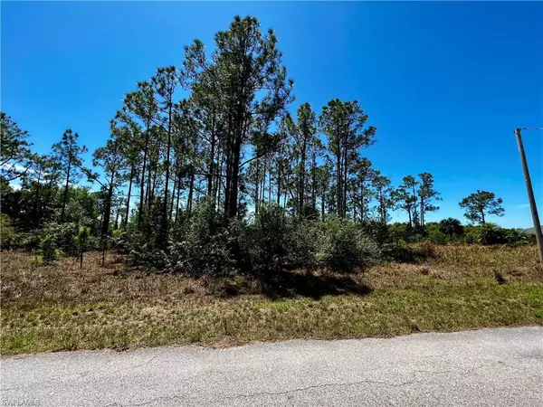 Lehigh Acres, FL 33974,1224 Cloplon ST E