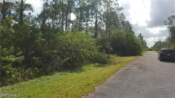 Lehigh Acres, FL 33972,1210 Johns AVE