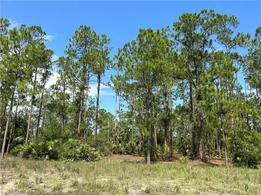 Lehigh Acres, FL 33972,709 Truman AVE