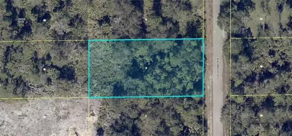 Lehigh Acres, FL 33972,417 Cleveland AVE