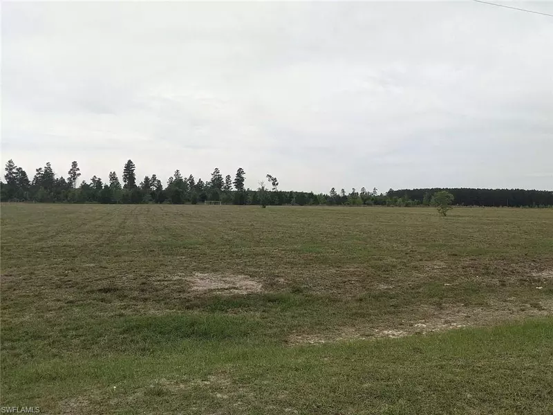 undisclosed NE LOBLOLLY TRL, Lee, FL 32059