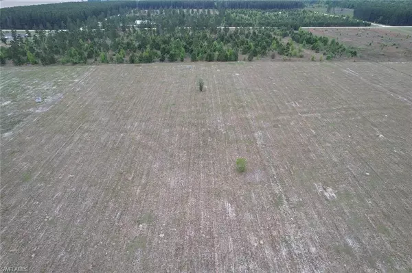 Lee, FL 32059,undisclosed NE LOBLOLLY TRL