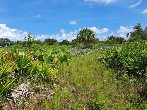 Okeechobee, FL 34972,15088 NW 280th