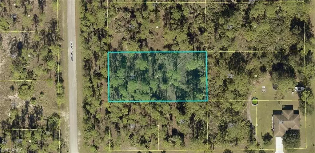 2302 Wellington AVE, Alva, FL 33920