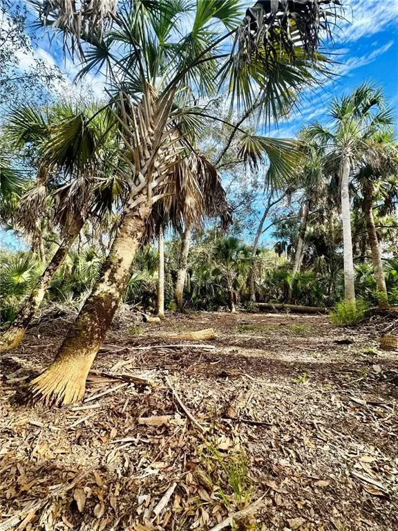 North Port, FL 34291,Lot 19 Backert RD