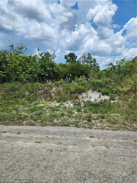 Lehigh Acres, FL 33974,1204 Hudson ST E