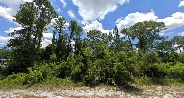 Lehigh Acres, FL 33974,710 Lamar ST E