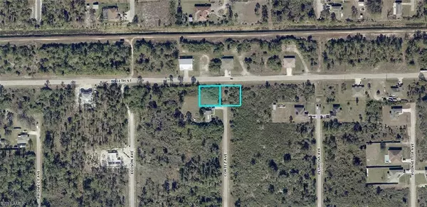 Lehigh Acres, FL 33972,301-303 W 12th ST