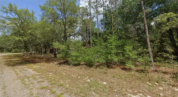 Citrus Springs, FL 34434,8957 N BENGAL WAY