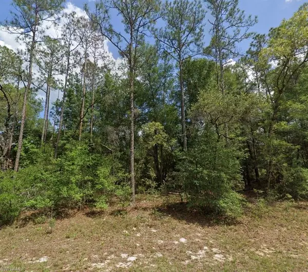 Citrus Springs, FL 34434,8957 N BENGAL WAY