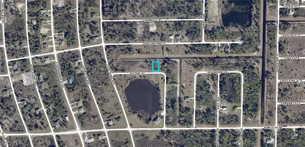 Lehigh Acres, FL 33974,1029 Alcove ST