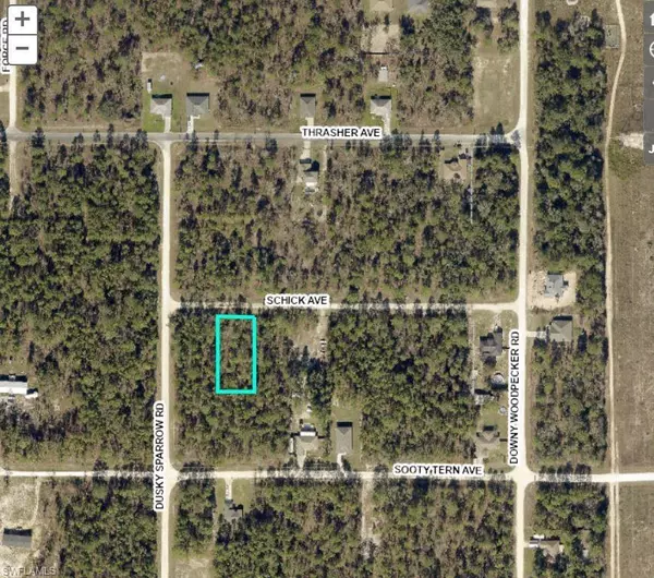 Weeki Wachee, FL 34614,0 Schick AVE