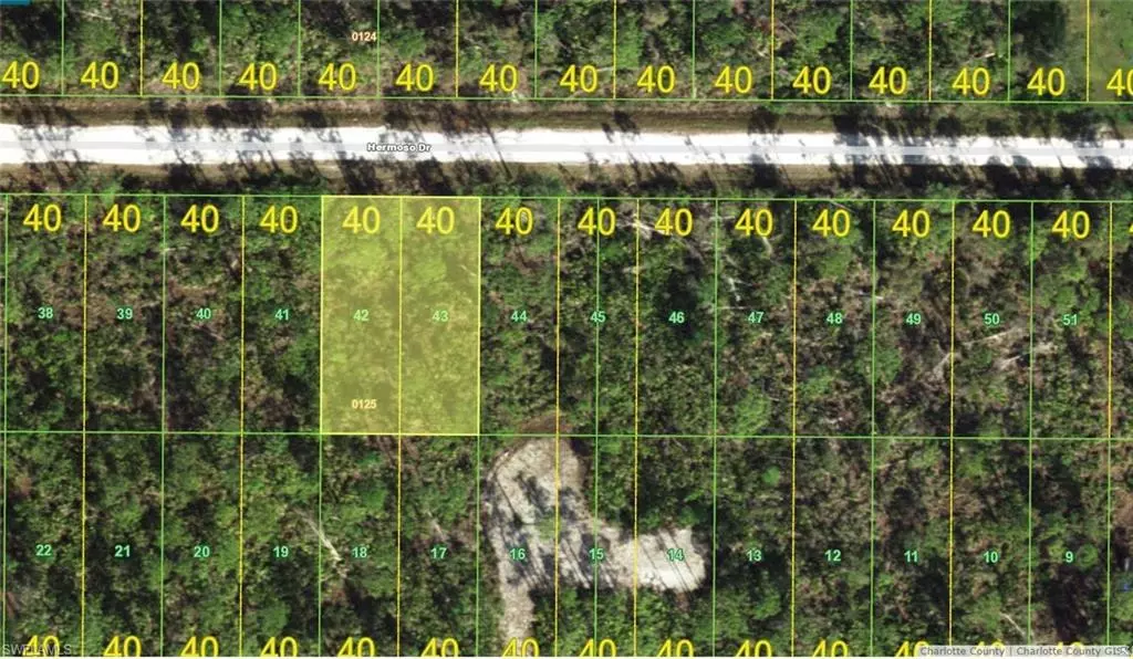 Punta Gorda, FL 33955,28337 Hermoso DR