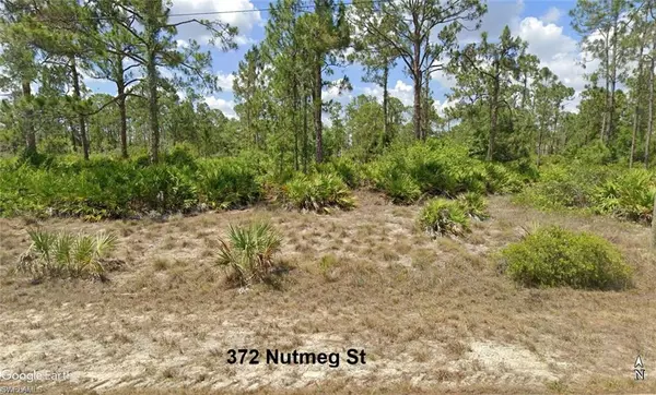 Lehigh Acres, FL 33972,372 Nutmeg ST