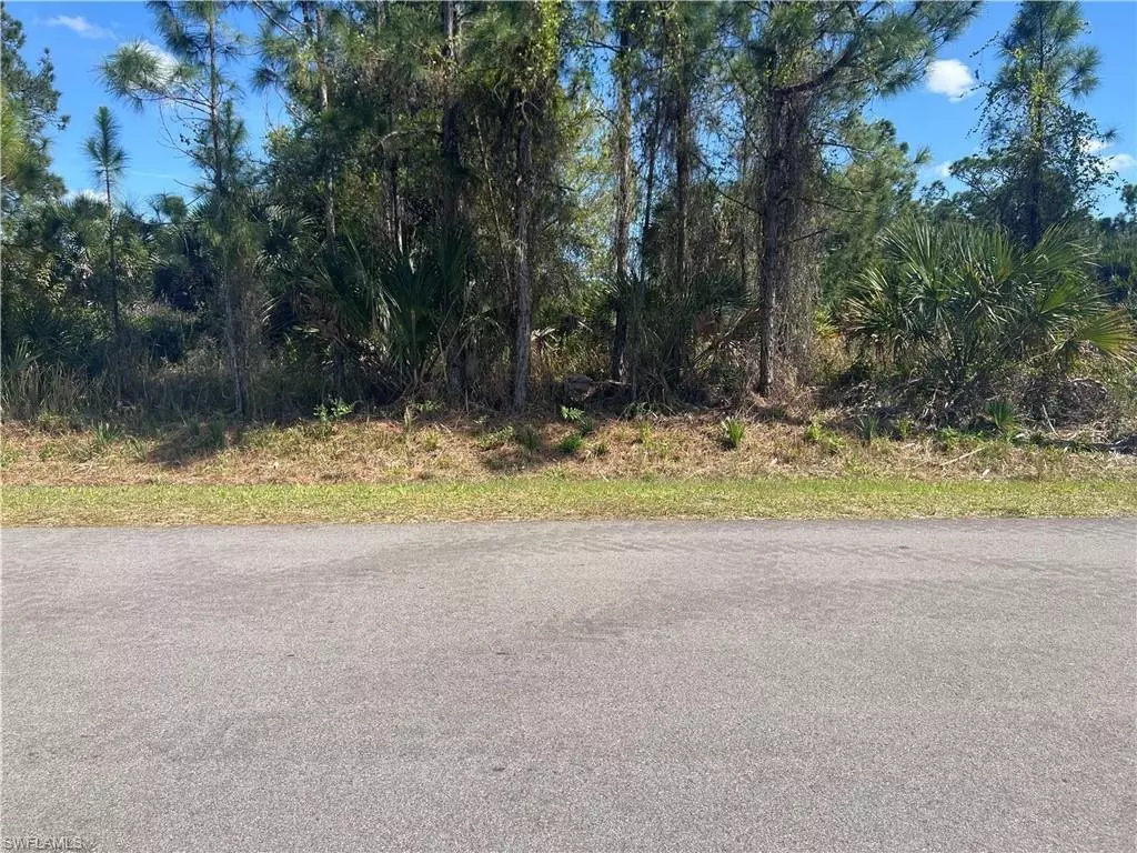 Lehigh Acres, FL 33974,958 Plantation RD