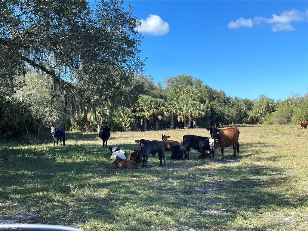 Clewiston, FL 33440,Roberts Ranch RD