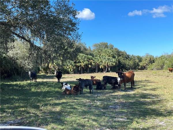 Roberts Ranch RD, Clewiston, FL 33440